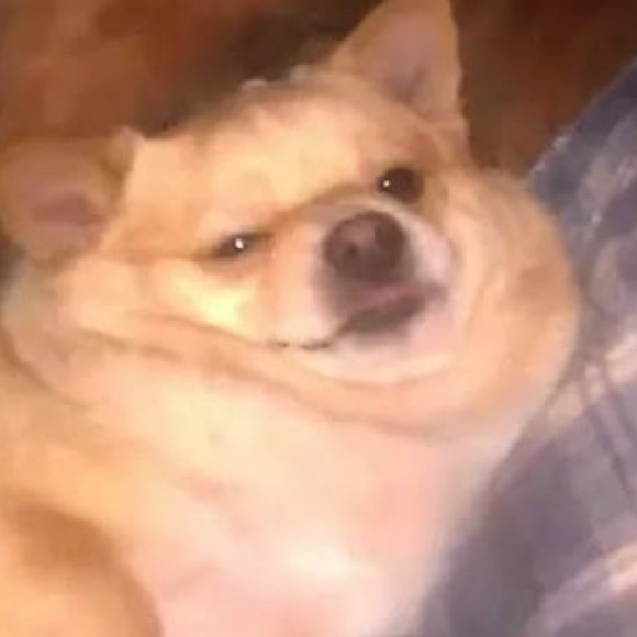 vanduce